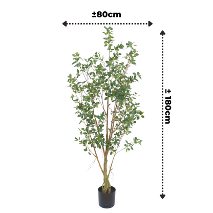 Ficus Artificial plant 180cm