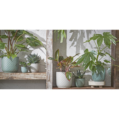 Flowerpot inside Daan Wit