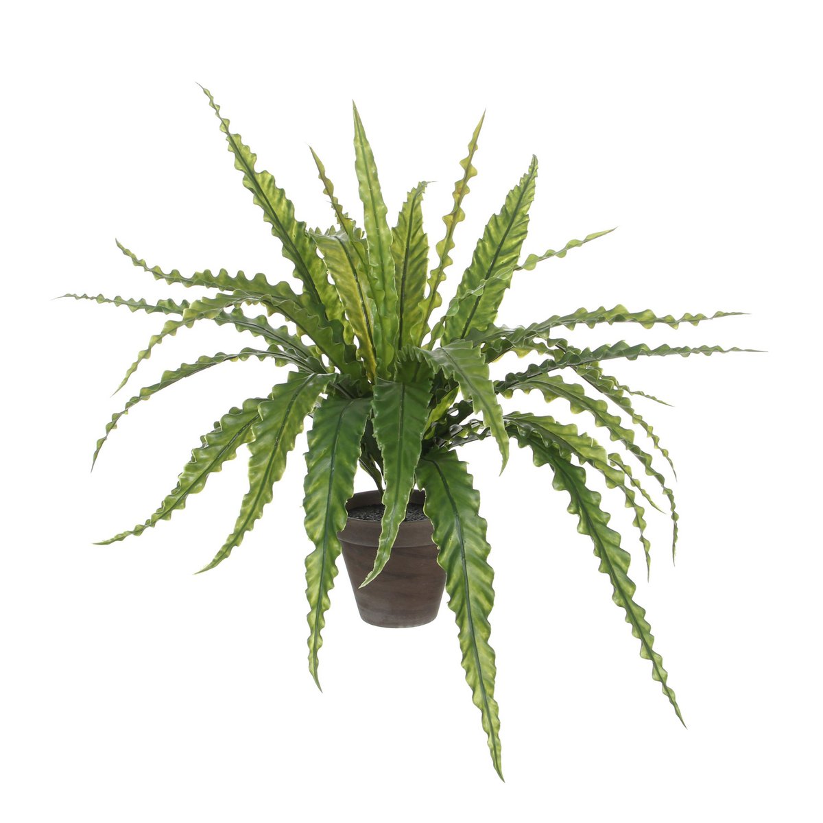 Artificial plant Asplenium Green