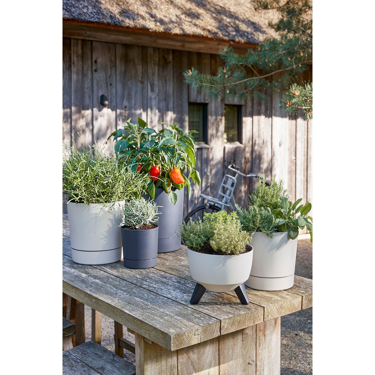 Outdoor planter Doppio Beige