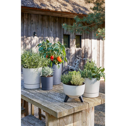 Outdoor planter Doppio Beige