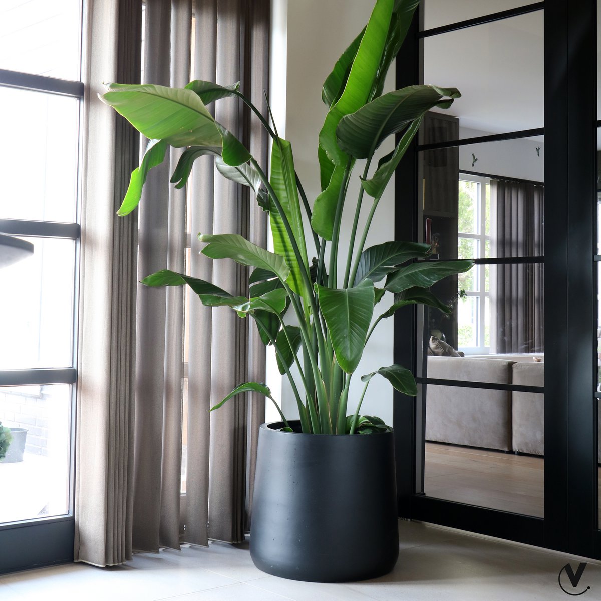 Plantenpot - Portland black