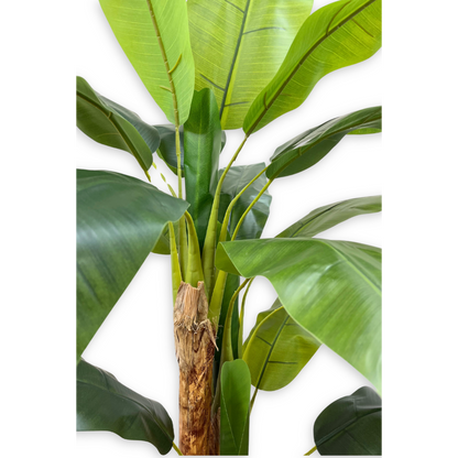 Artificial Banana Plant 180cm