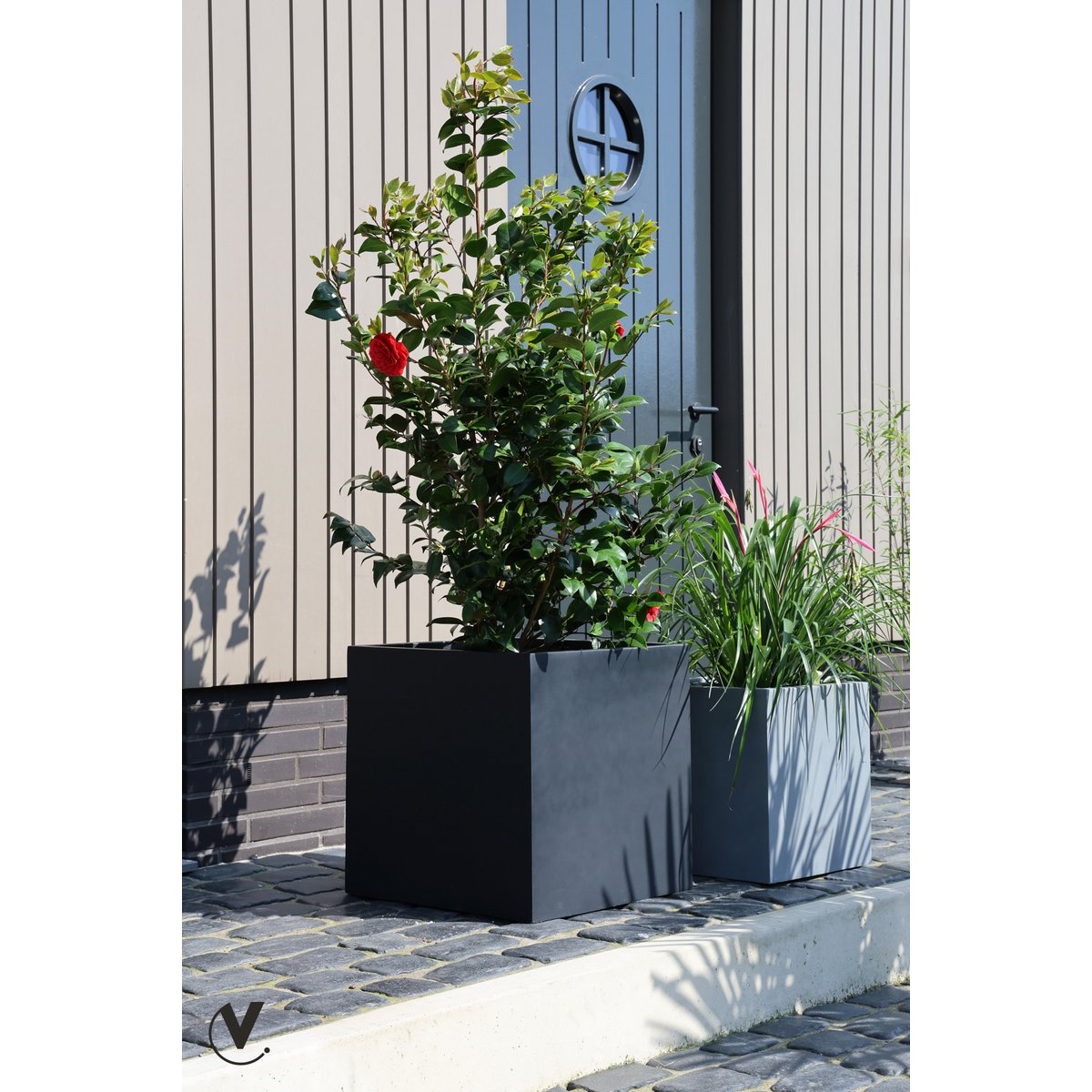 Planter - El Salvador Black