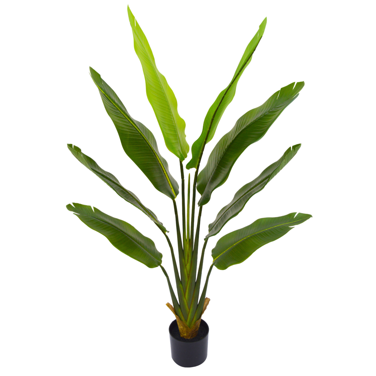 Artificial Strelitzia Plant 140cm