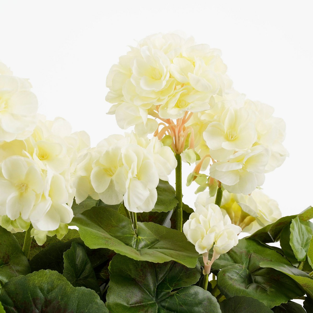 Artificial Plant Geranium Wit
