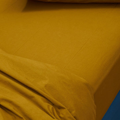 Drap housse Céleste Nuts 200 x 180
