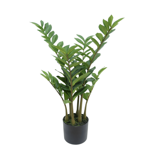 Zamioculcas Kunstplant 75cm