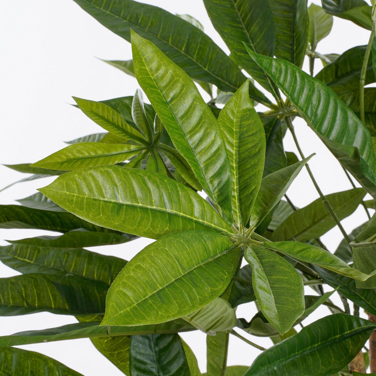 Artificial plant Pachira Green