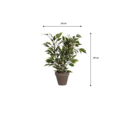Artificial plant Ficus natasja Green