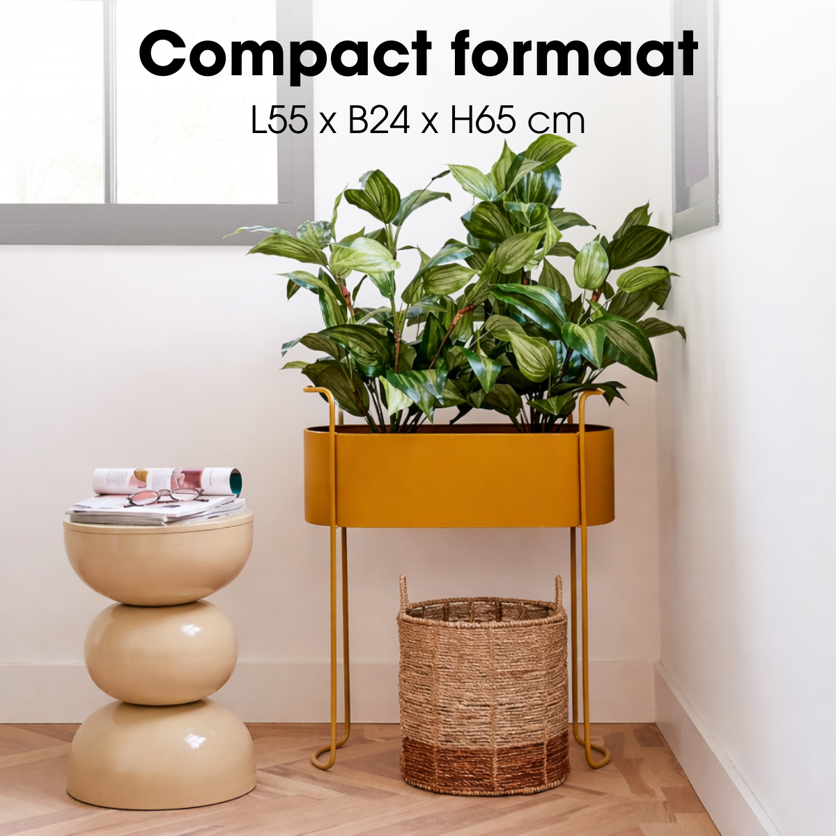 Flowerpot inside Moritz Brown