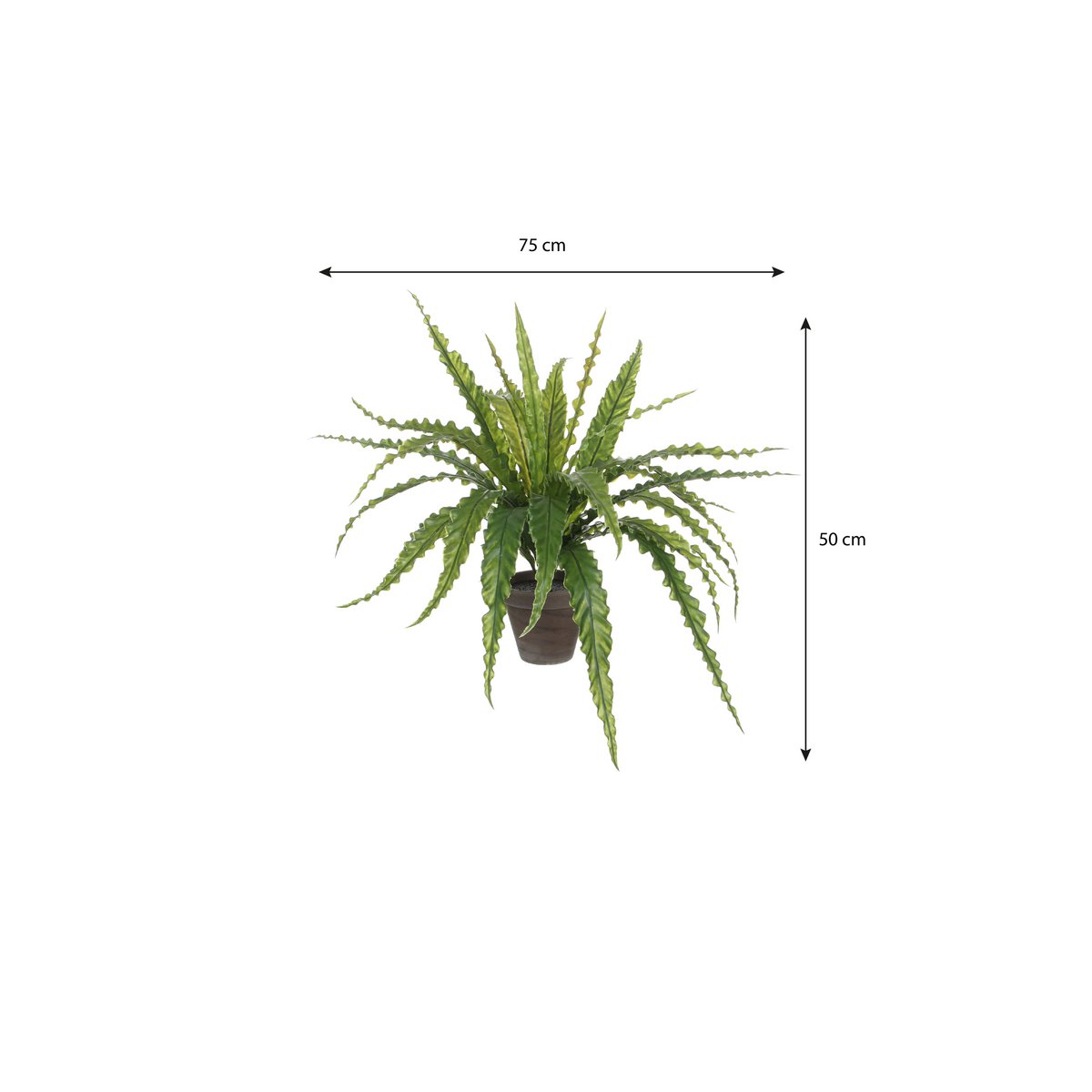 Artificial plant Asplenium Green