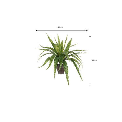 Artificial plant Asplenium Green