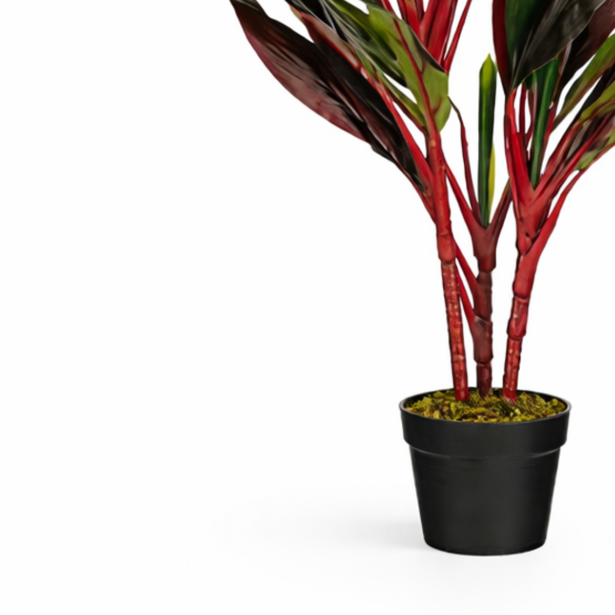 Artificial plant Cordyline Red