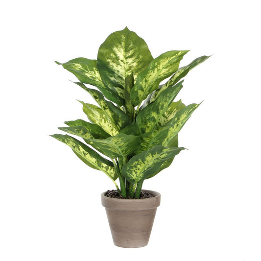 Artificial plant Dieffenbachia Green