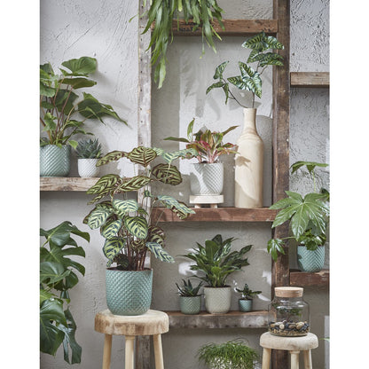 Flowerpot inside Daan Wit