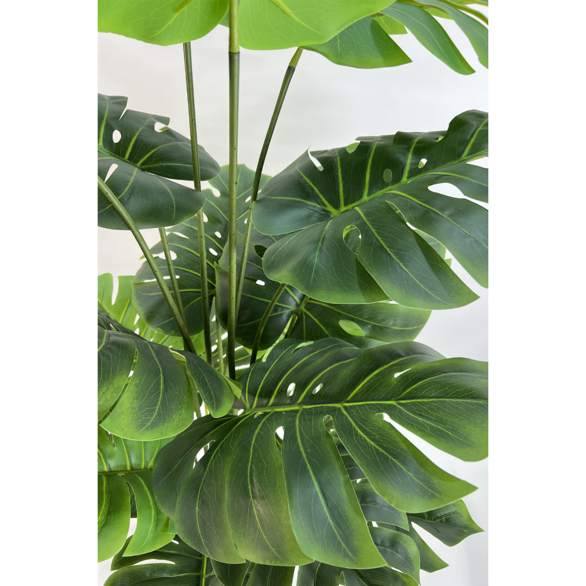 Monstera Artificial plant 165cm