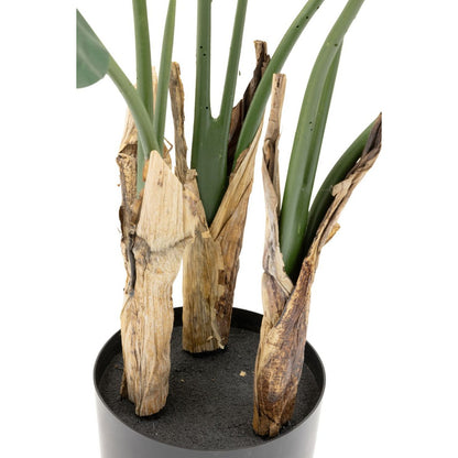 Strelitzia artificial plant 90cm