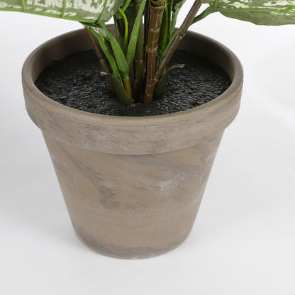 Artificial plant Dieffenbachia Green