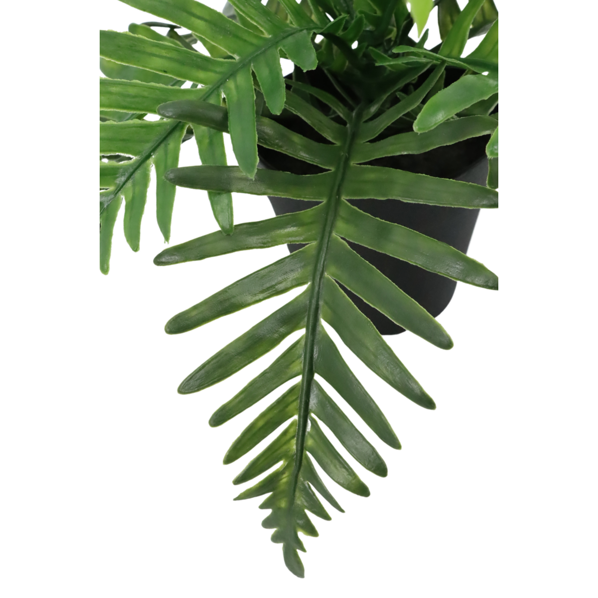 Pteris Artificial plant 20cm