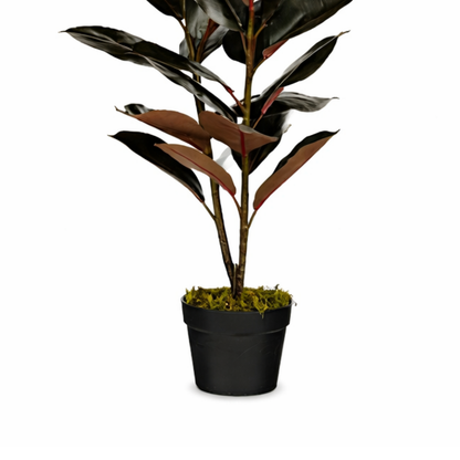 Artificial plant Rubber plant Red