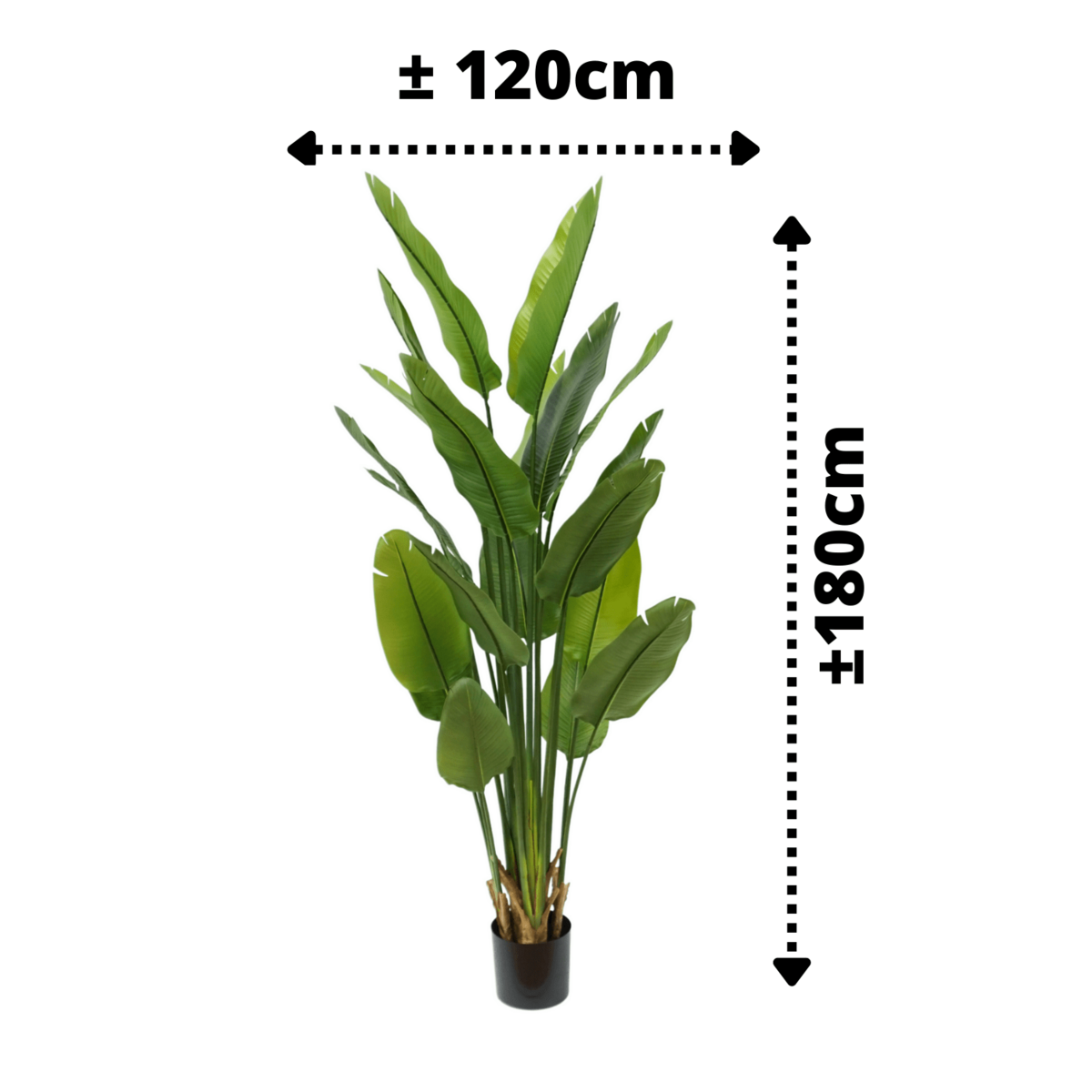 Strelitzia Kunstplant 180cm