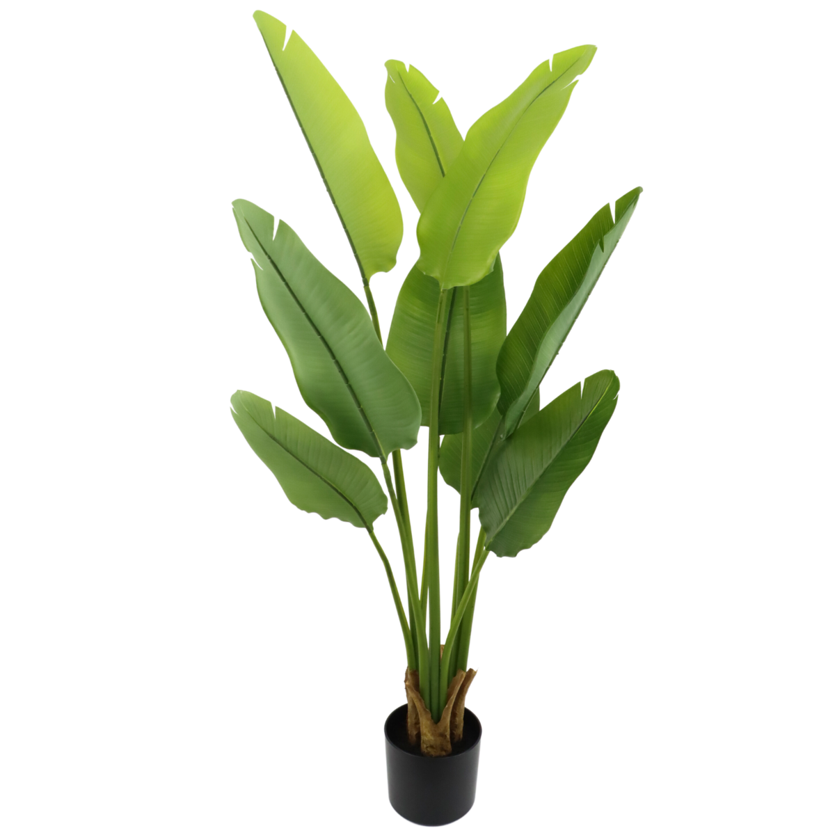 Artificial Strelitzia Plant 120cm