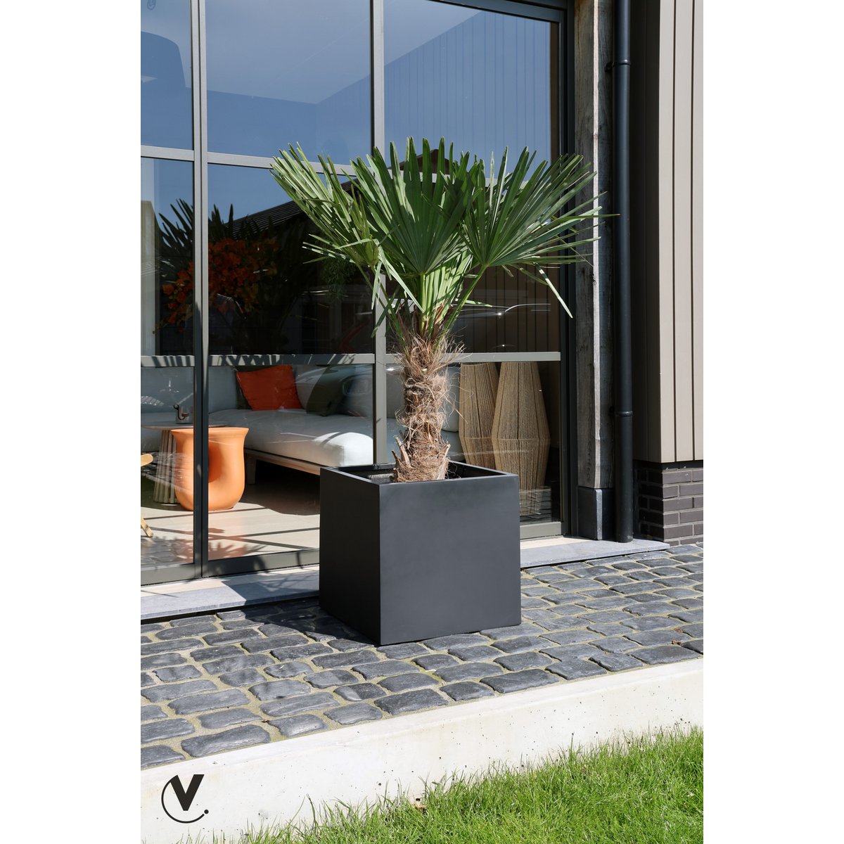 Planter - El Salvador Black