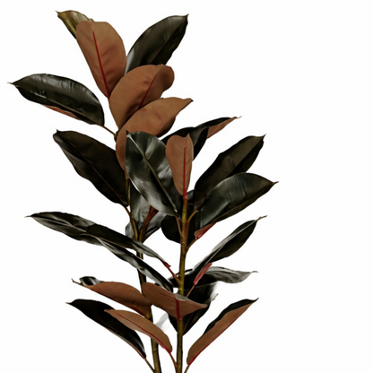 Artificial plant Rubber plant Red