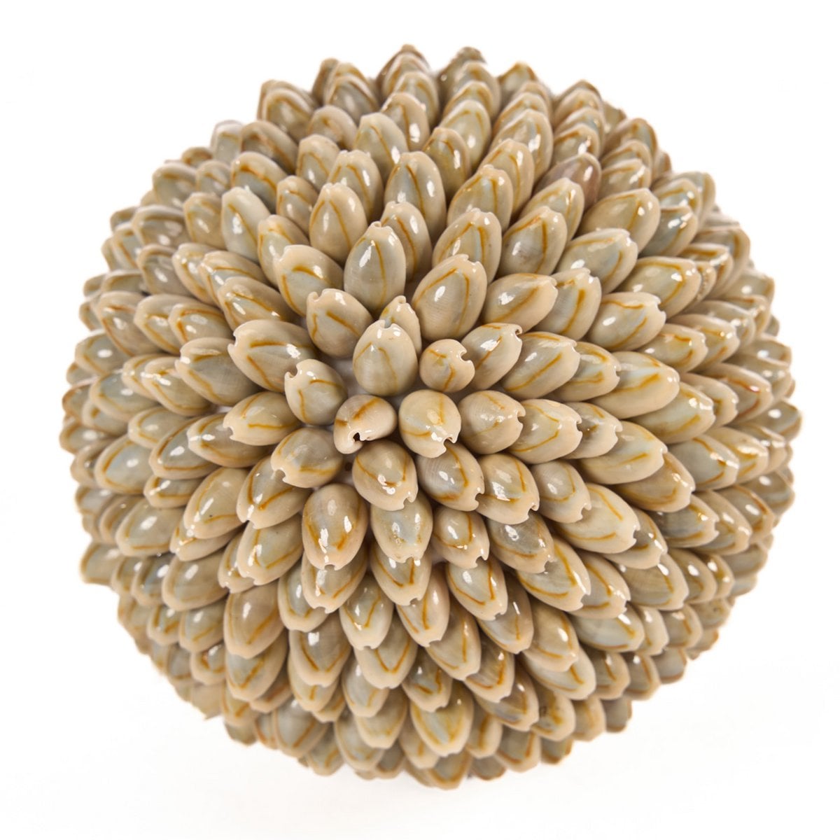 The Oluolu Shell Ball - L