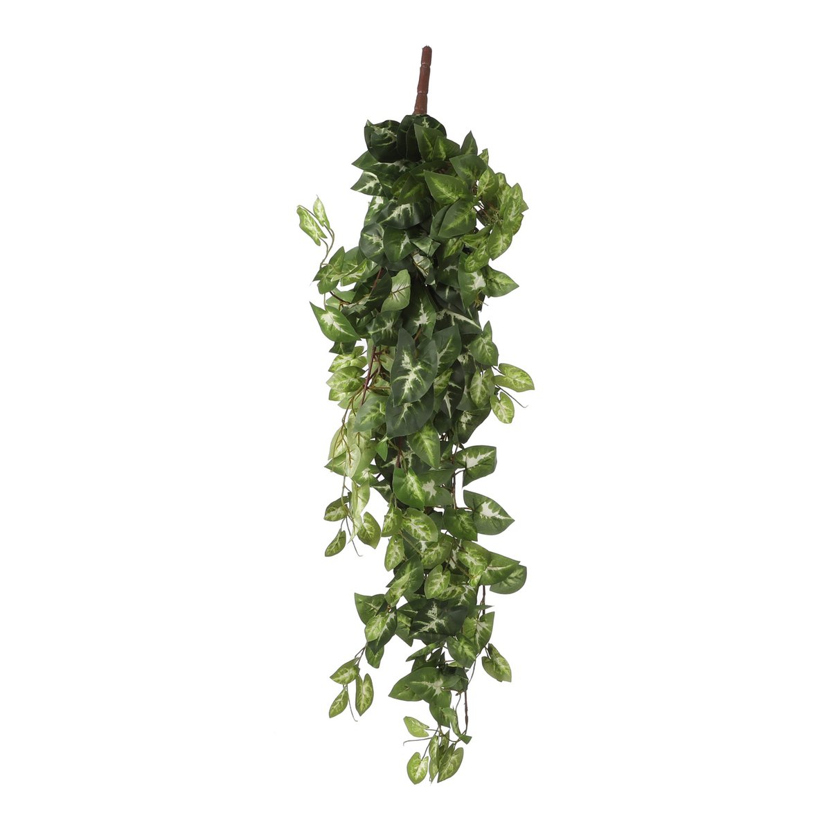 Artificial hanging plant Fittonia Green