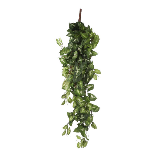 Artificial hanging plant Fittonia Green