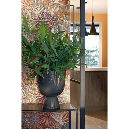 Flowerpot inside James Gray