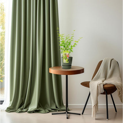 Acer palm. 'Going Green'Â® | [P19-H40]