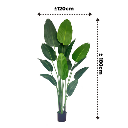 Artificial Strelitzia Plant 180cm