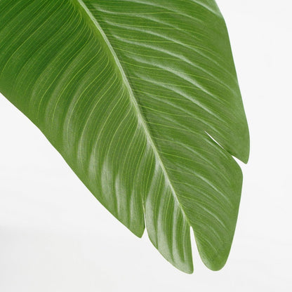 Artificial plant Green