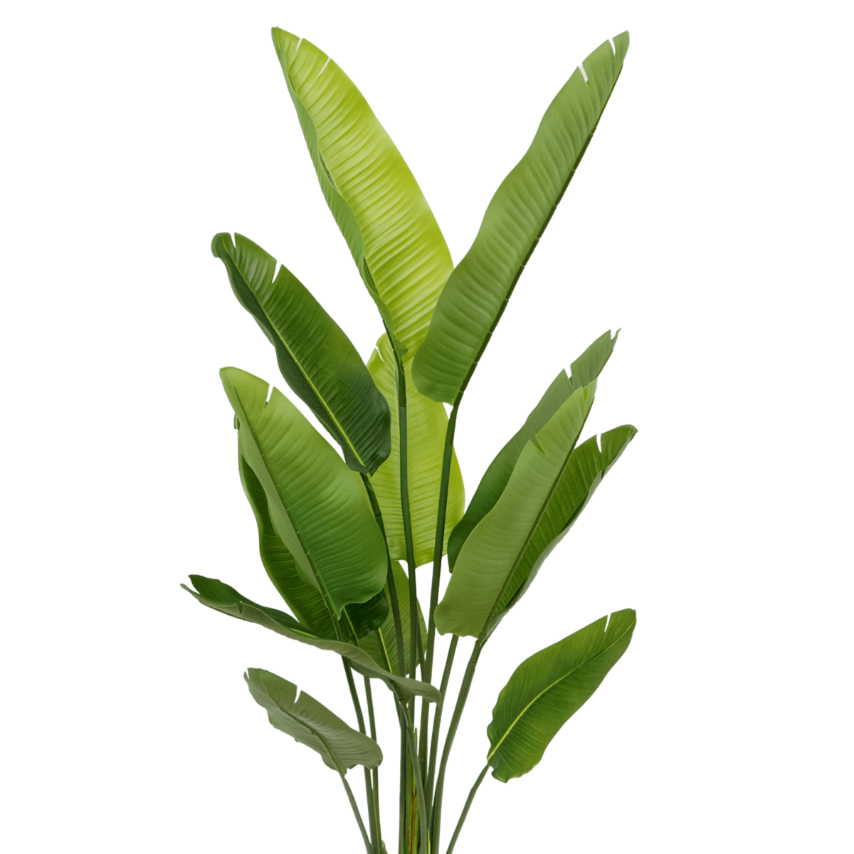 Strelitzia Artificial Plant 160cm