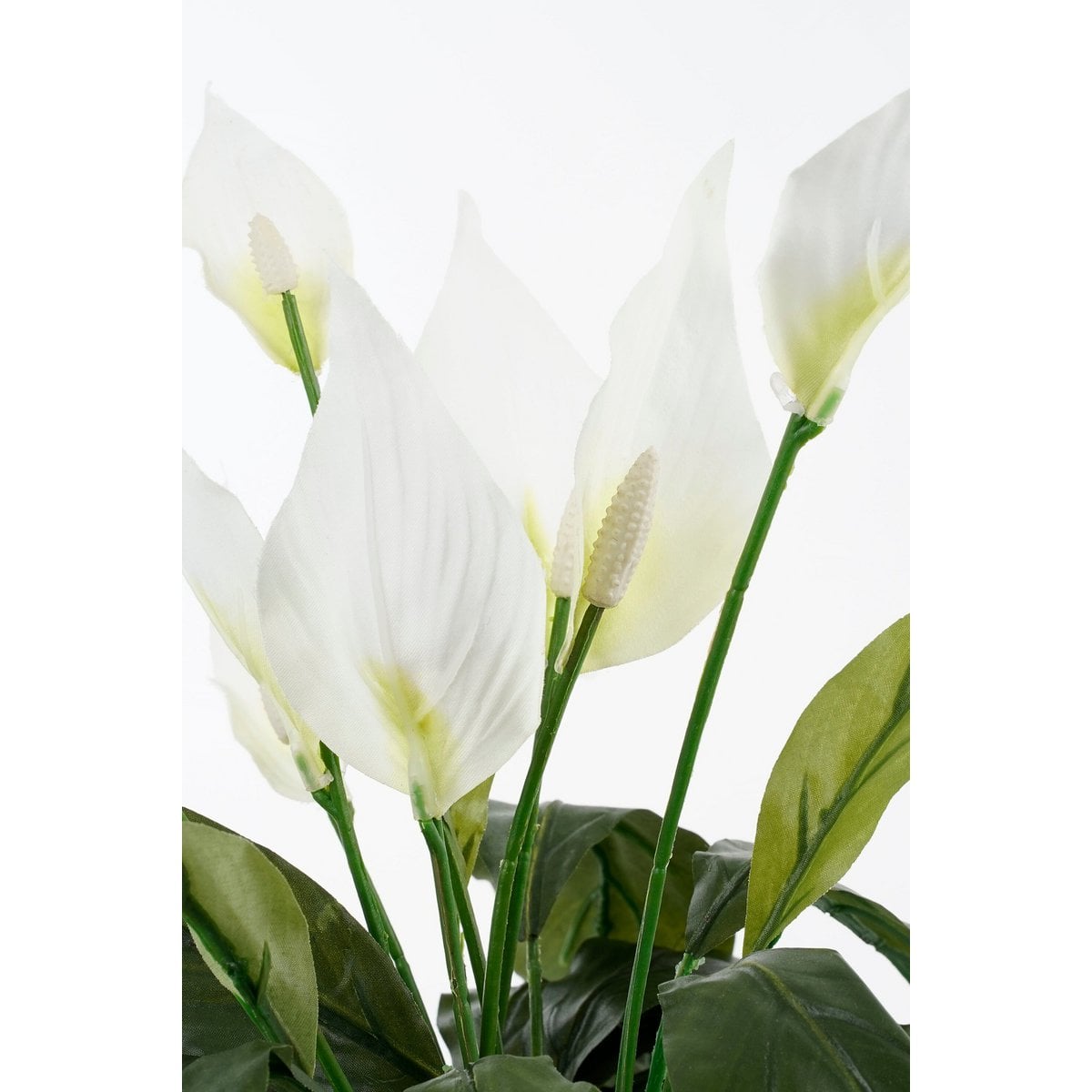Artificial plant Spathiphyllum White