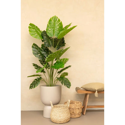 Monstera Artificial plant 165cm