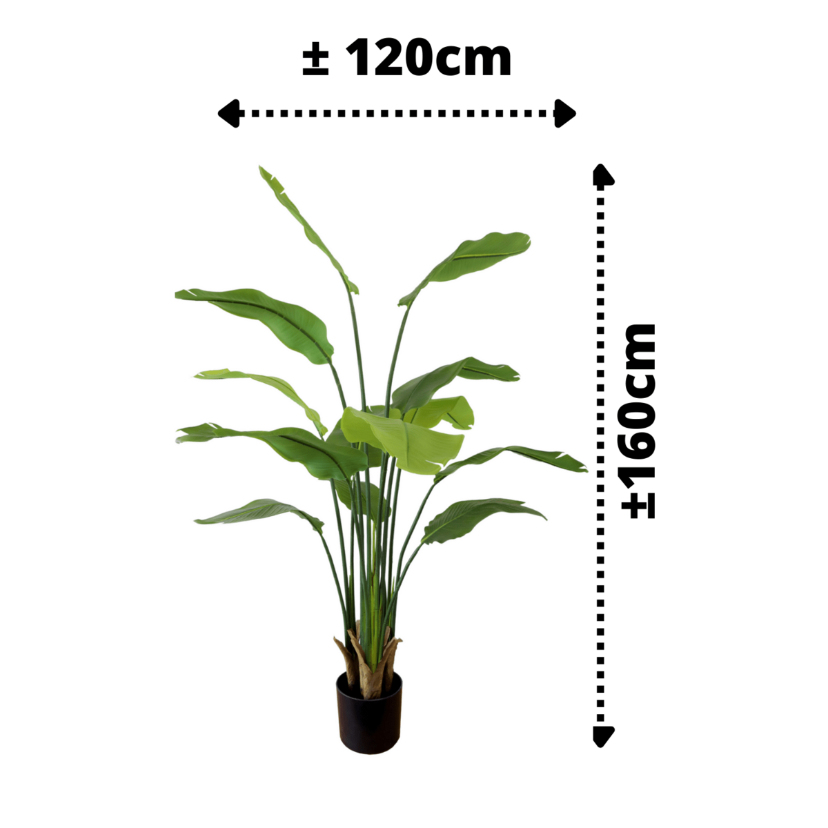 Strelitzia Artificial Plant 160cm