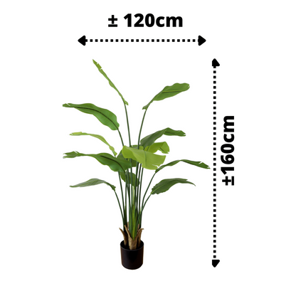 Strelitzia Artificial Plant 160cm