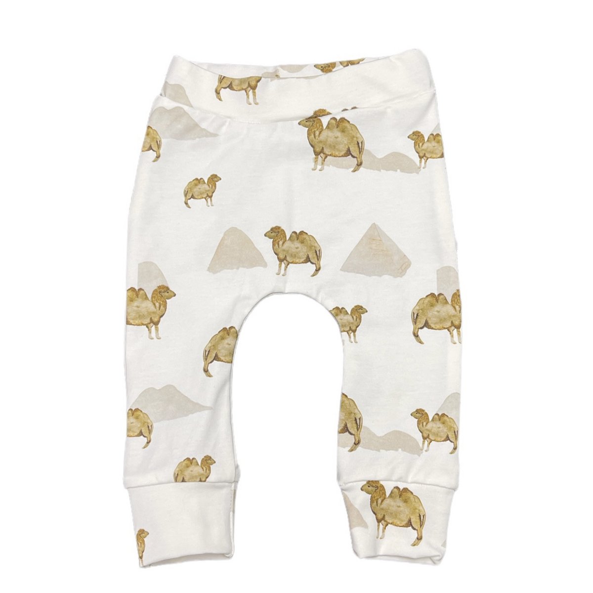 Newborn jogger desert