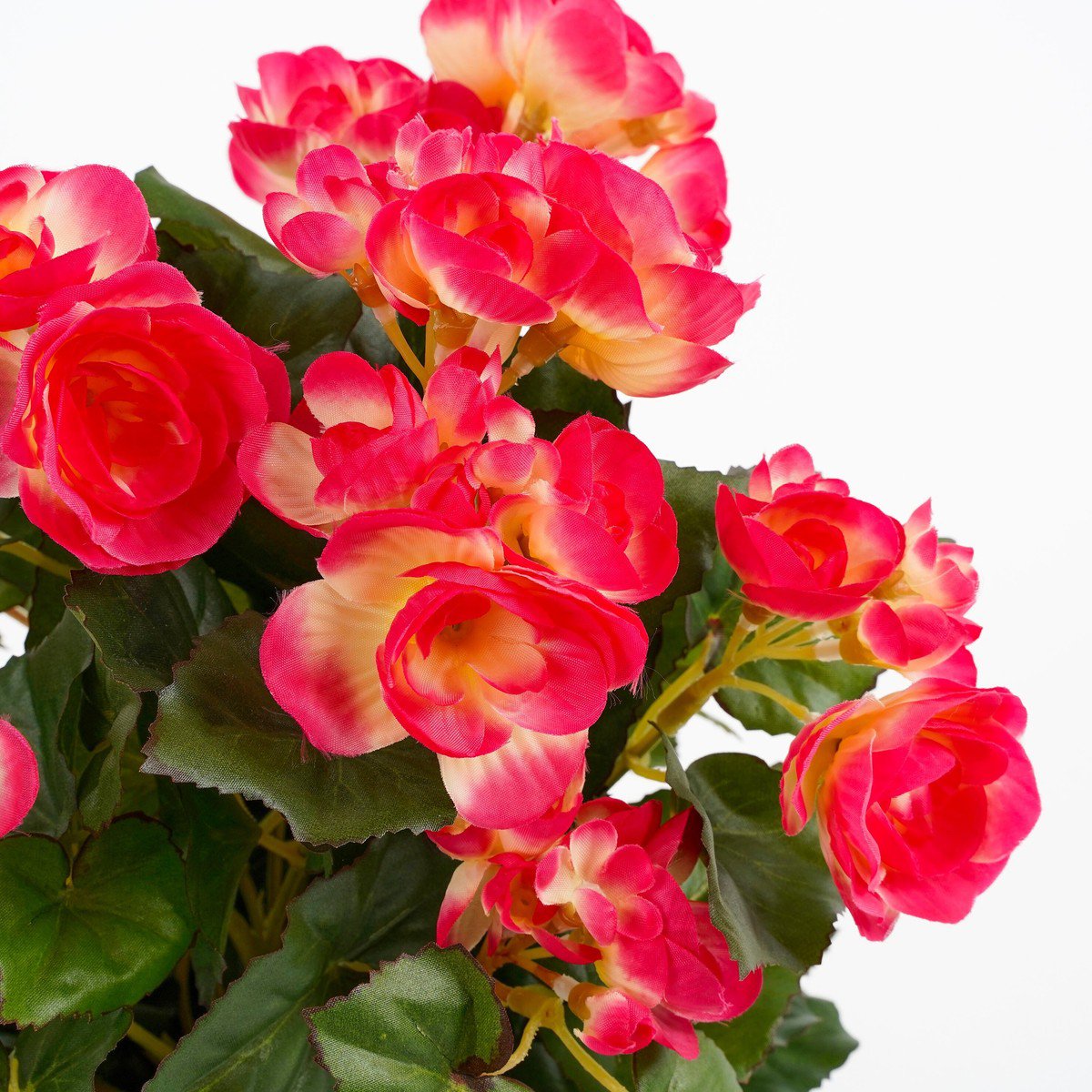 Artificial plant Begonia Dark pink