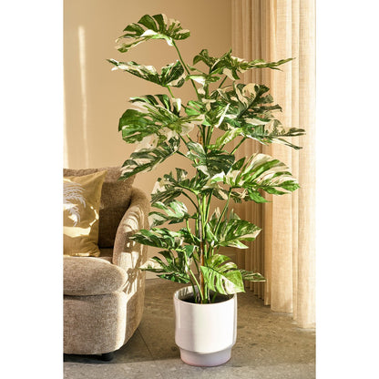 Artificial plant Monstera green