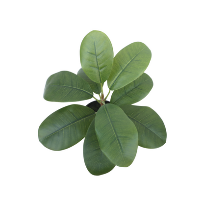 Ficus Artificial plant 35cm