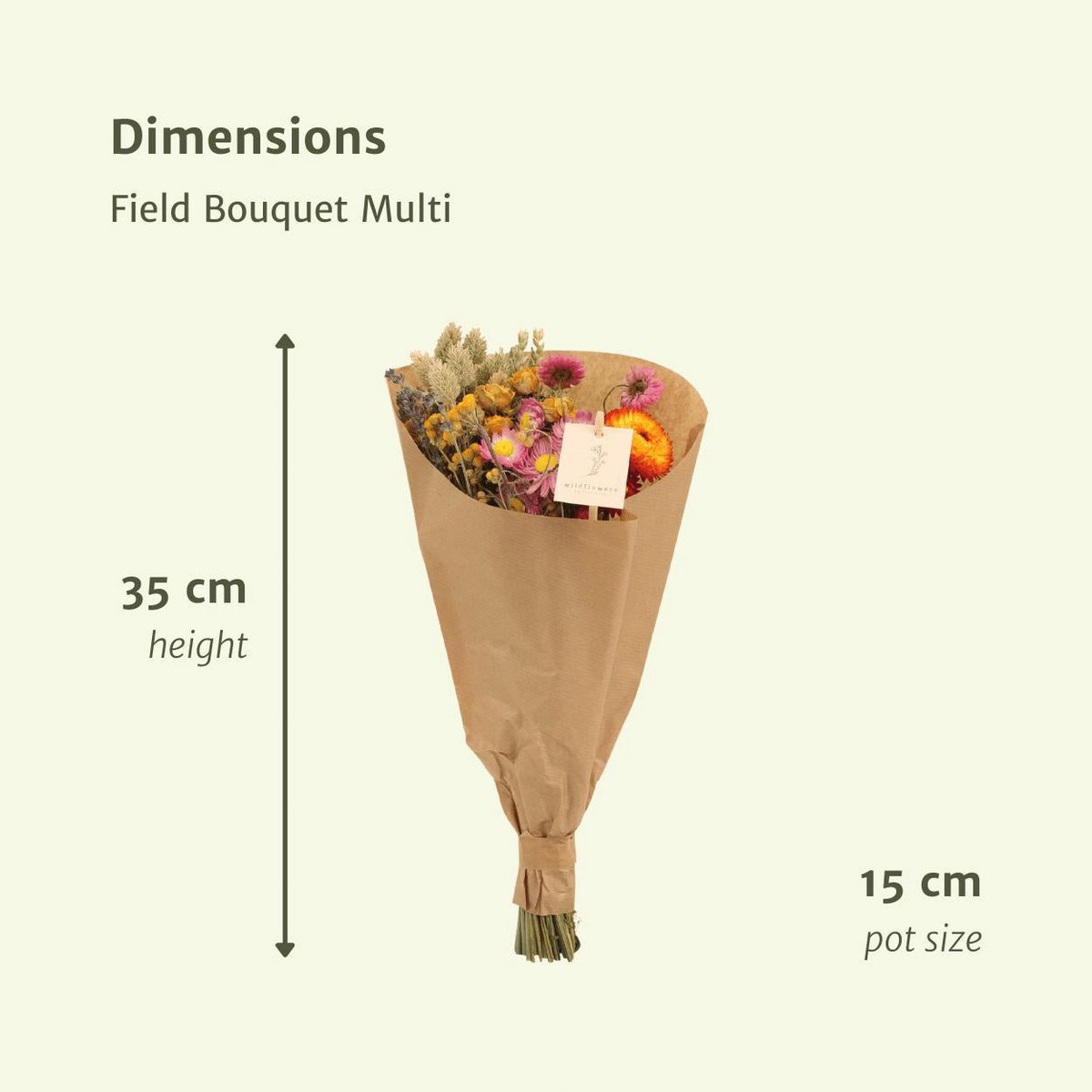 12x Field Bouquet Multi - Droogboeket - 35cm