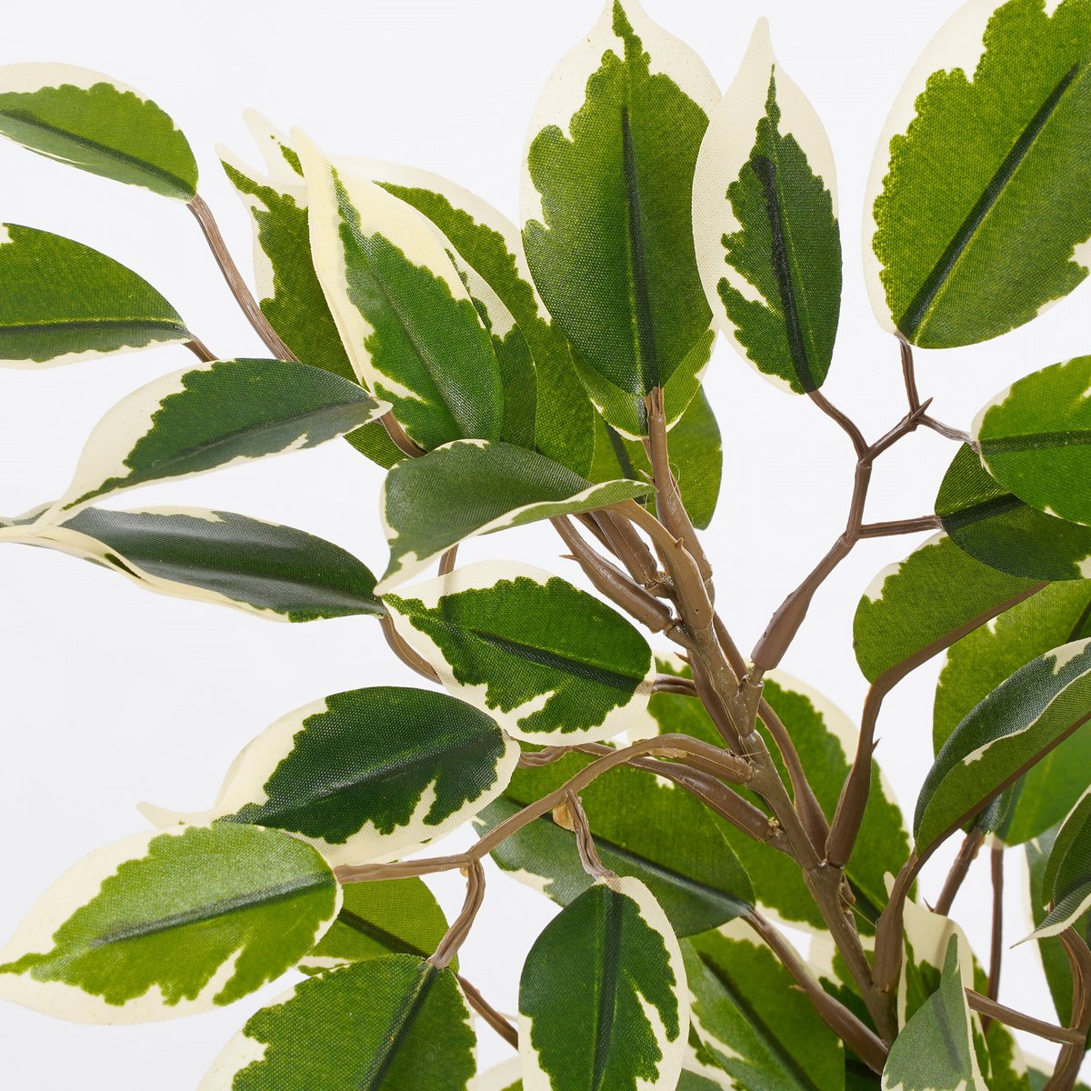 Artificial plant Ficus natasja Green