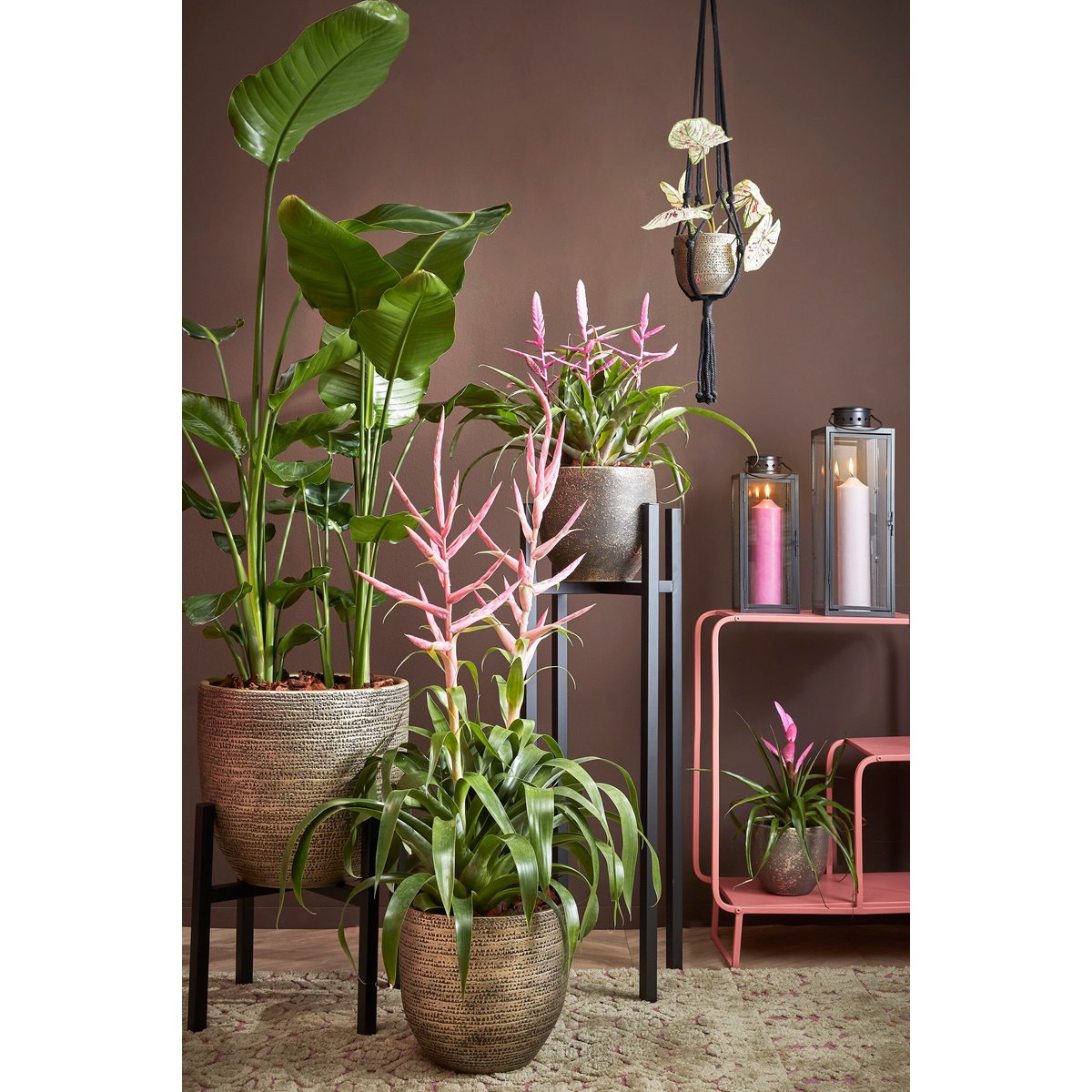 Plant stand Ascot Black