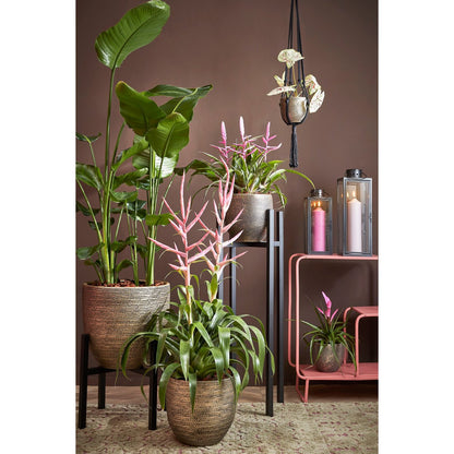Plant stand Ascot Black