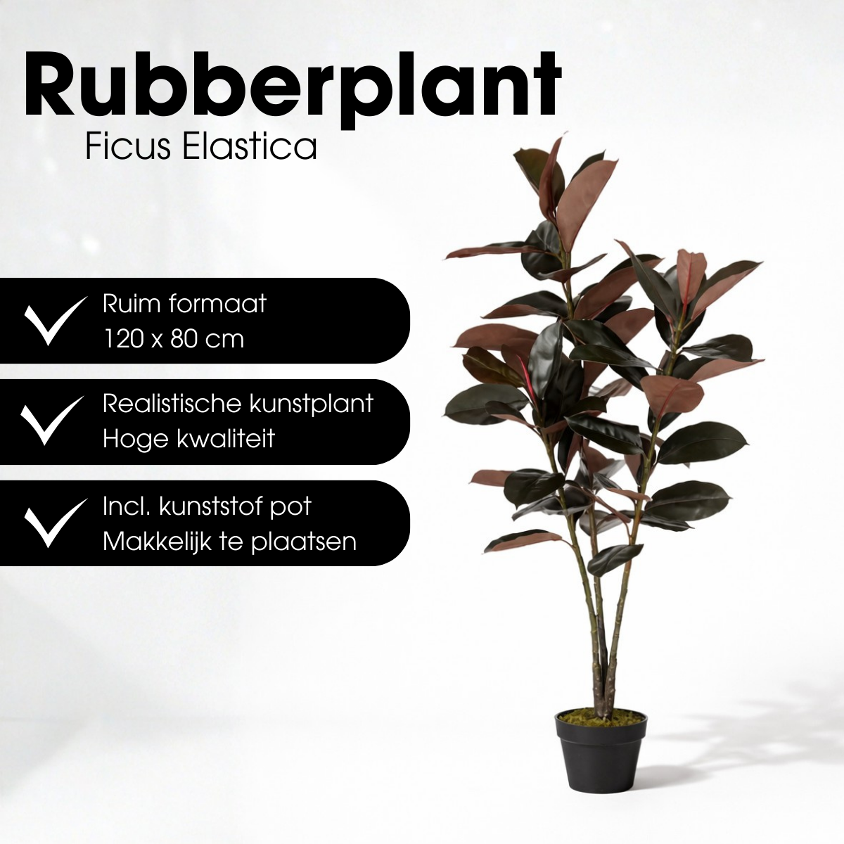 Artificial plant Rubber plant Red